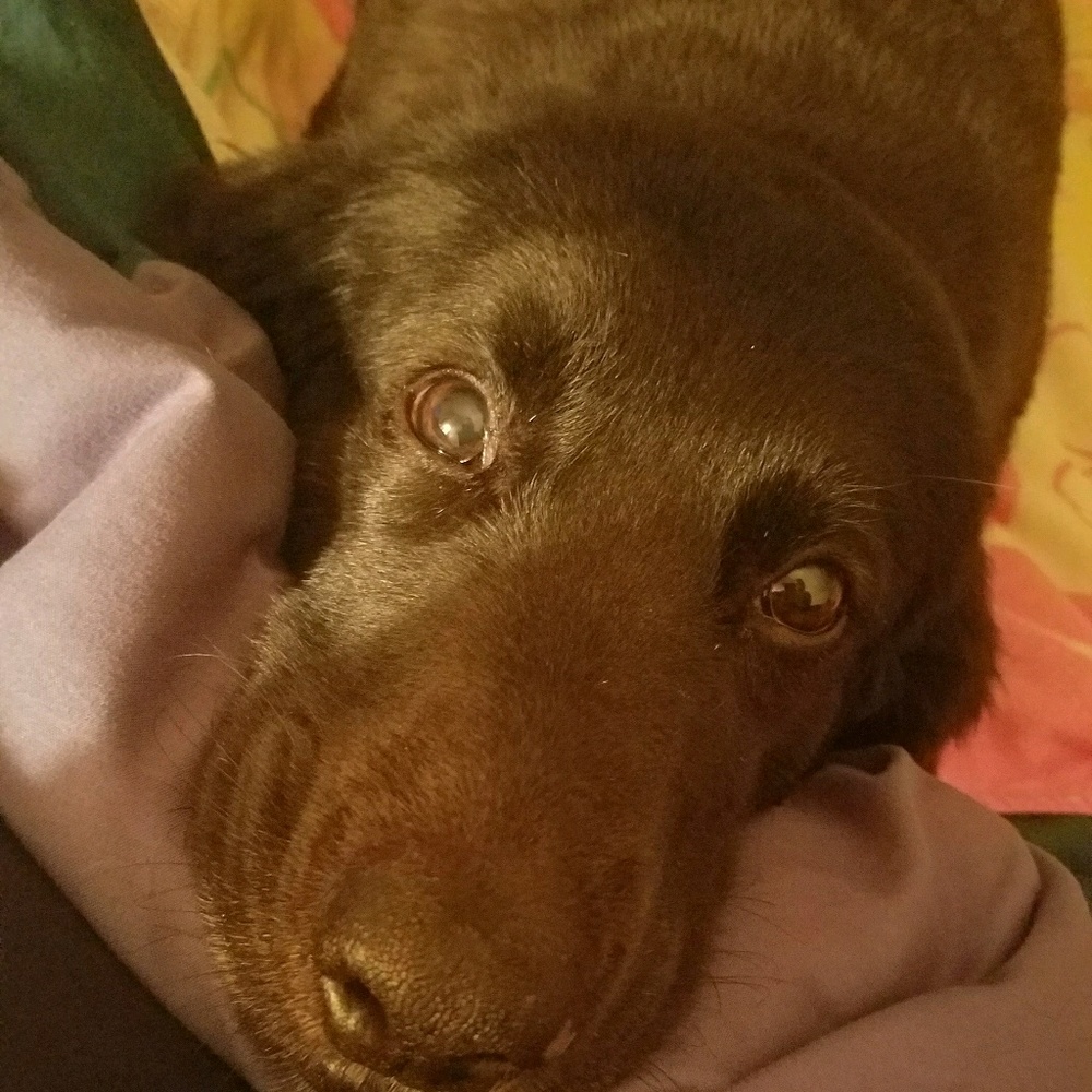 Meet your Posher, Kate